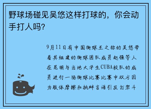 野球场碰见吴悠这样打球的，你会动手打人吗？